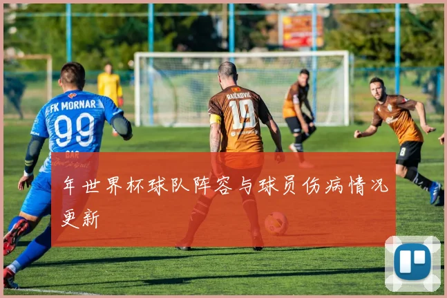 年世界杯球队阵容与球员伤病情况更新