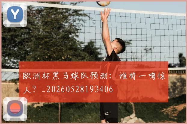 欧洲杯黑马球队预测：谁将一鸣惊人？_20260528193406